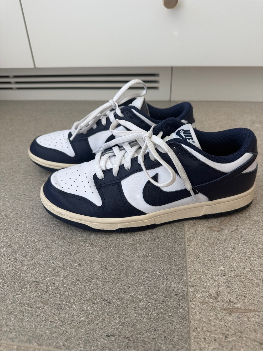 Nike Navy and White Low-Top Sneakers